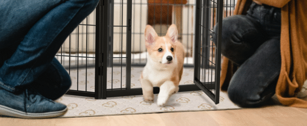 Homeplus Dog Playpen - Image 3