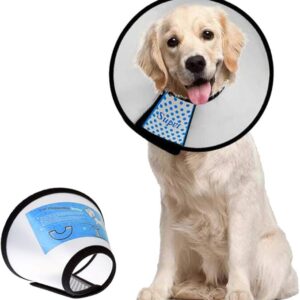 Dog Cone Collar