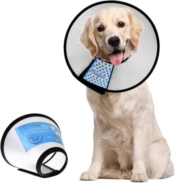 Dog Cone Collar