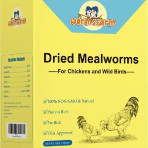 Dried Mealworms