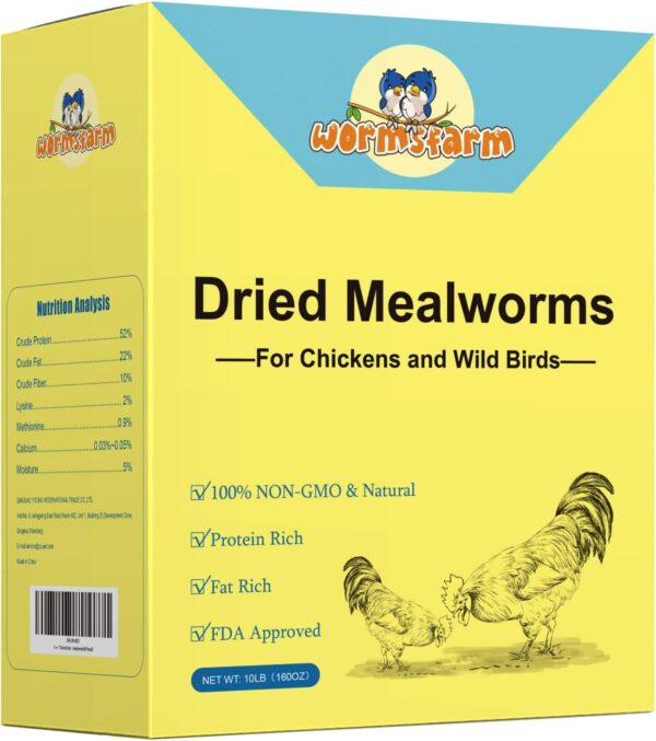 Dried Mealworms