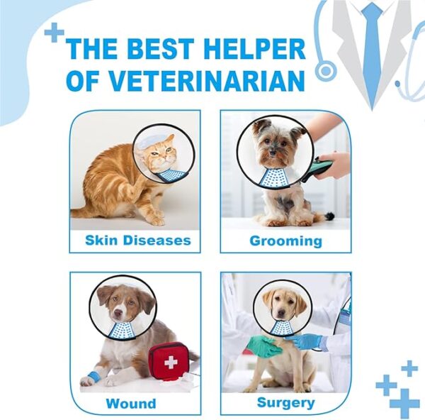 Dog Cone Collar - Image 2