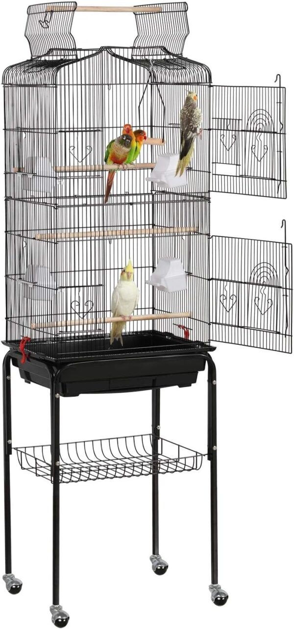 Bird Cage