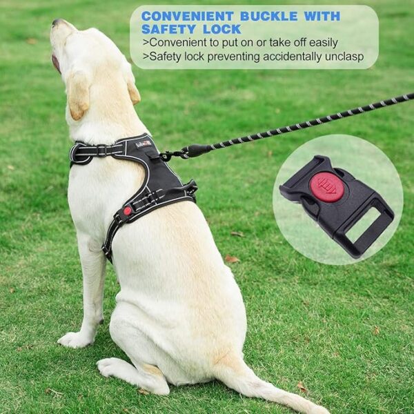 No Pull Dog Harness - Image 2