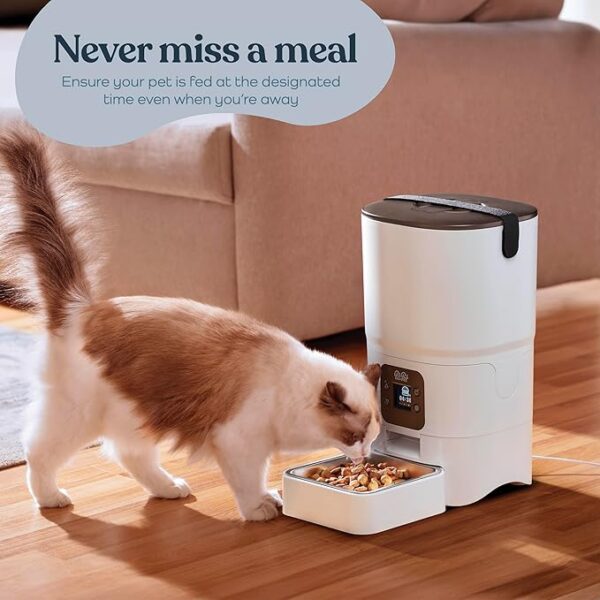 Automatic Cat Feeder - Image 2