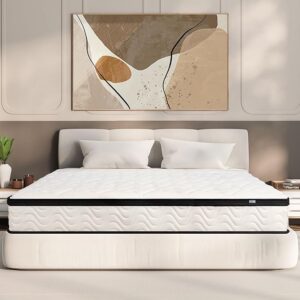 Queen Mattress